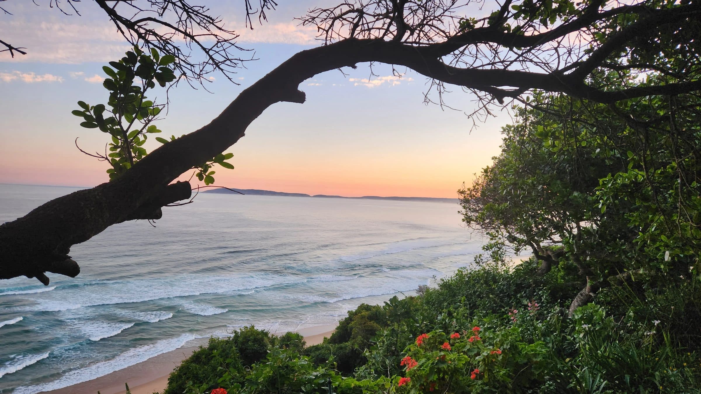Gulls' Way - where the indigenous forest meets the sea, Keurboomstrand